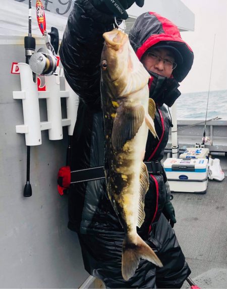 シーランチ 釣果