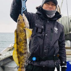 シーランチ 釣果