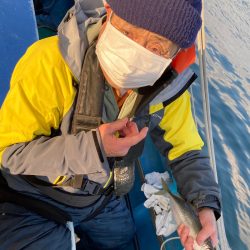 ヤザワ渡船 釣果