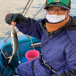 ヤザワ渡船 釣果