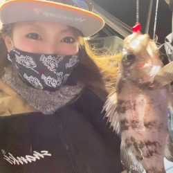 ヤザワ渡船 釣果