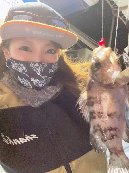 ヤザワ渡船 釣果