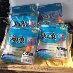 渡船屋たにぐち 釣果