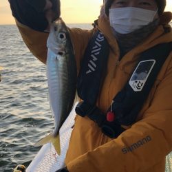 ヤザワ渡船 釣果
