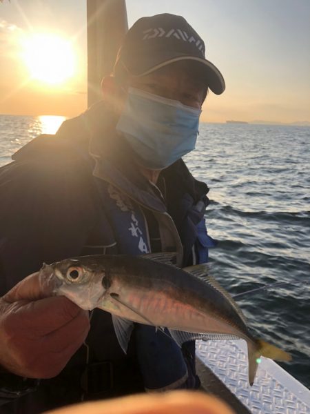 ヤザワ渡船 釣果