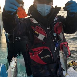 ヤザワ渡船 釣果