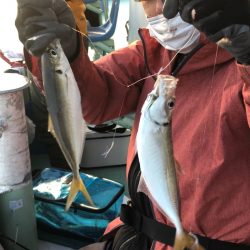 ヤザワ渡船 釣果