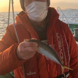 ヤザワ渡船 釣果