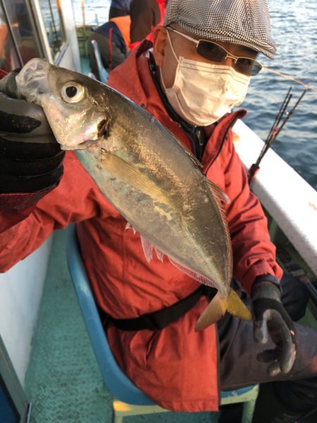ヤザワ渡船 釣果