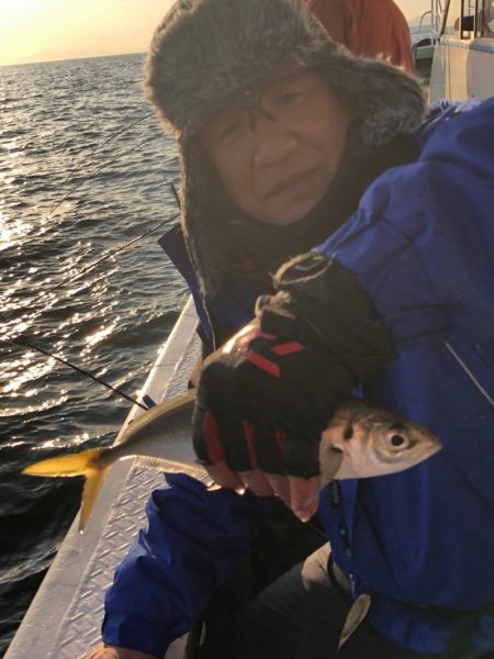 ヤザワ渡船 釣果