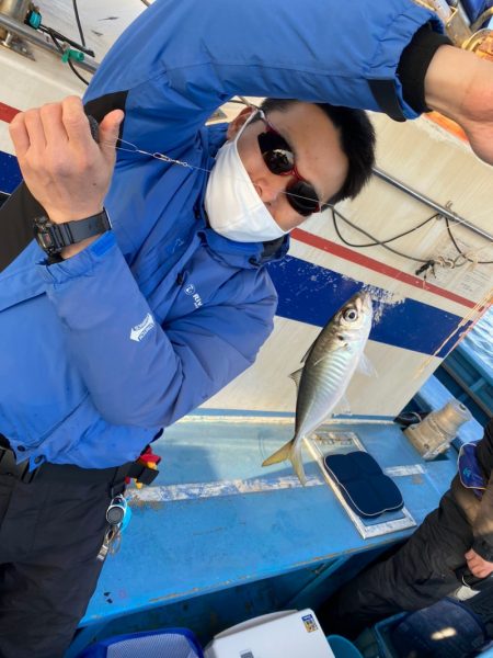 ヤザワ渡船 釣果