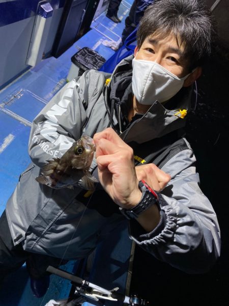 ヤザワ渡船 釣果