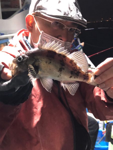 ヤザワ渡船 釣果