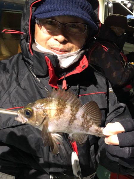 ヤザワ渡船 釣果