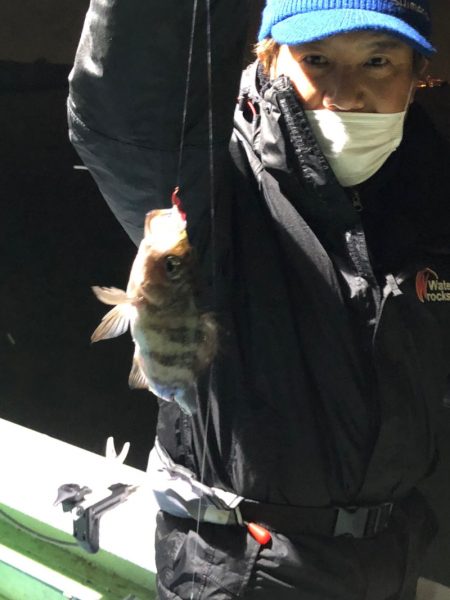 ヤザワ渡船 釣果