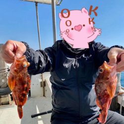 岡田釣船　八英丸 釣果