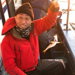 ヤザワ渡船 釣果