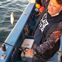 ヤザワ渡船 釣果