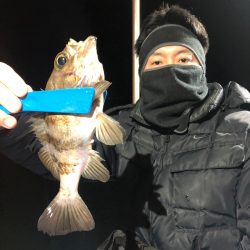ヤザワ渡船 釣果