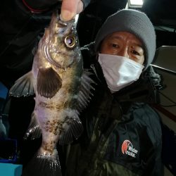 ヤザワ渡船 釣果