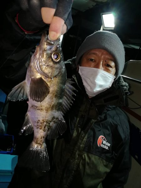 ヤザワ渡船 釣果