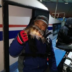 ヤザワ渡船 釣果