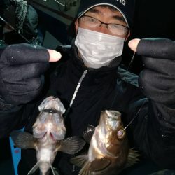 ヤザワ渡船 釣果