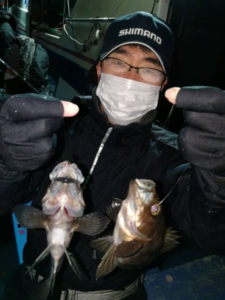 ヤザワ渡船 釣果
