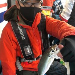 ヤザワ渡船 釣果