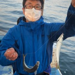 ヤザワ渡船 釣果