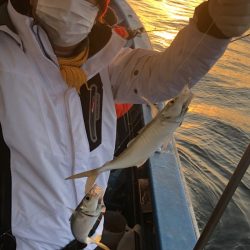 ヤザワ渡船 釣果