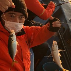 ヤザワ渡船 釣果