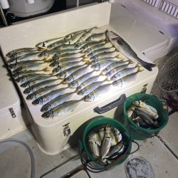 Monster Rush! 釣果