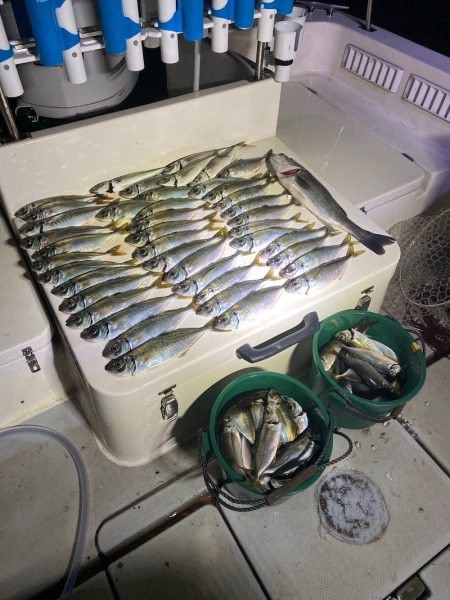 Monster Rush! 釣果