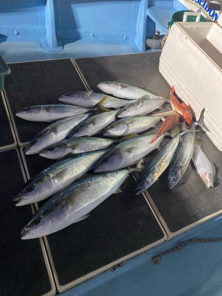 Monster Rush! 釣果