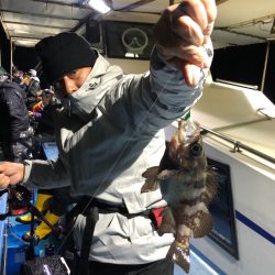 ヤザワ渡船 釣果