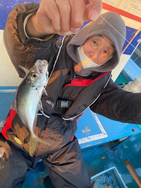 ヤザワ渡船 釣果