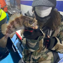 ヤザワ渡船 釣果