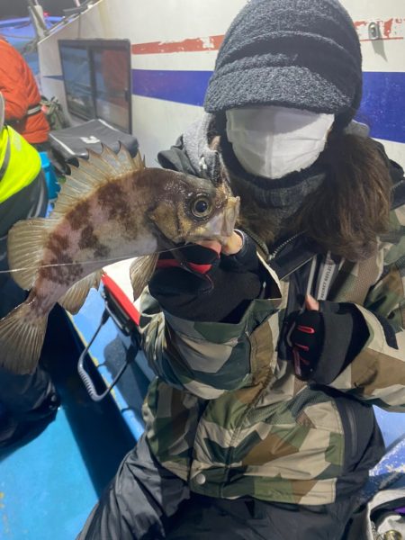 ヤザワ渡船 釣果