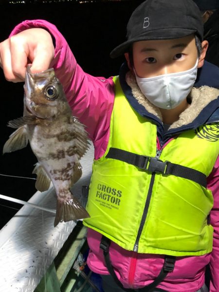 ヤザワ渡船 釣果