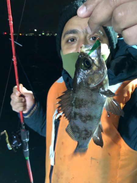 ヤザワ渡船 釣果