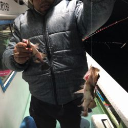 ヤザワ渡船 釣果