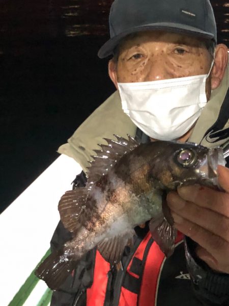 ヤザワ渡船 釣果