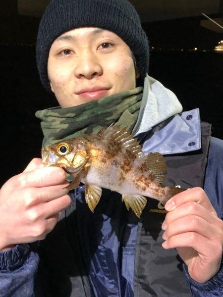 ヤザワ渡船 釣果