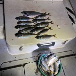 Monster Rush! 釣果