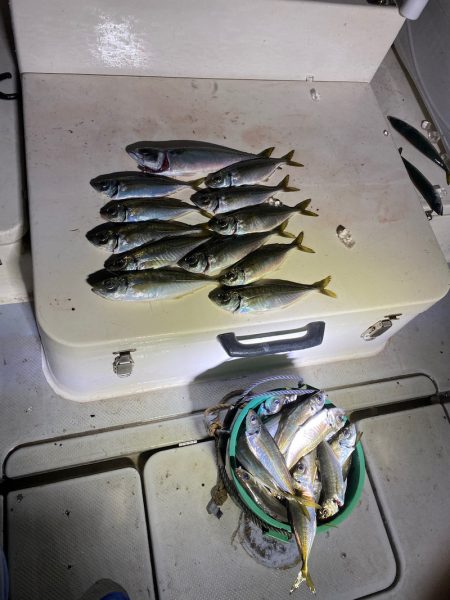 Monster Rush! 釣果