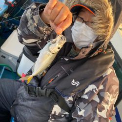 ヤザワ渡船 釣果