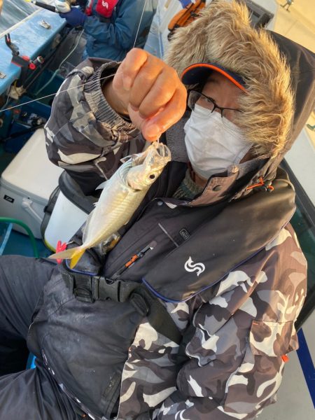 ヤザワ渡船 釣果