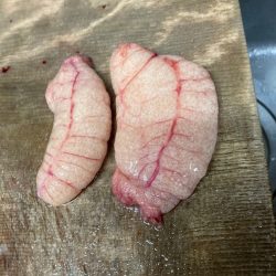 龍神丸(鹿児島) 釣果