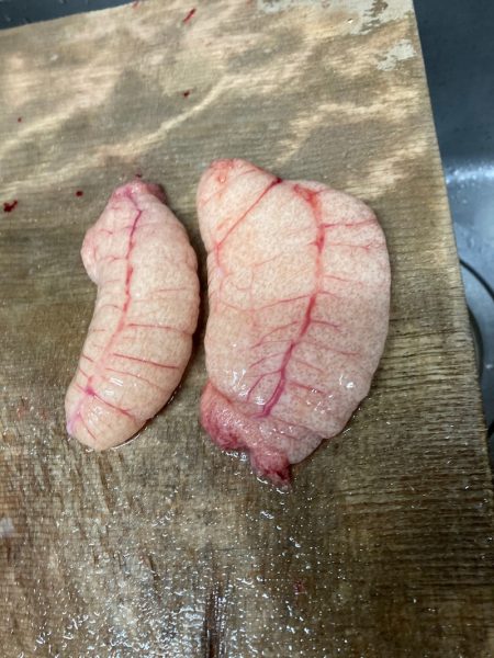 龍神丸(鹿児島) 釣果